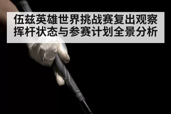 伍兹英雄世界挑战赛复出观察 挥杆状态与参赛计划全景分析 - NG28